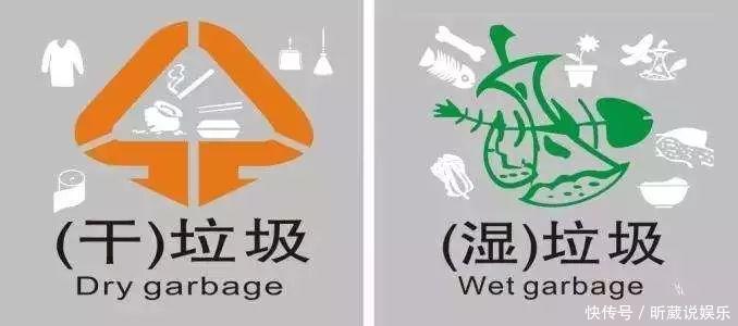 4种垃圾不会分类别担心，埋在花盆底，叶子绿得直滴油！