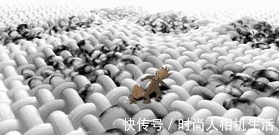 发黄的衣服不要丢,这个“绝招”,可以清洗得干净,涨知识了!