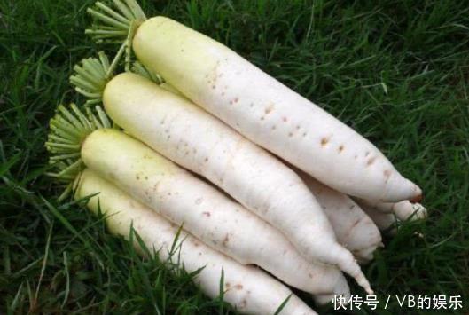 健康|“饿死不进萝卜园”有无依据专家说出大实话佩服古人智慧