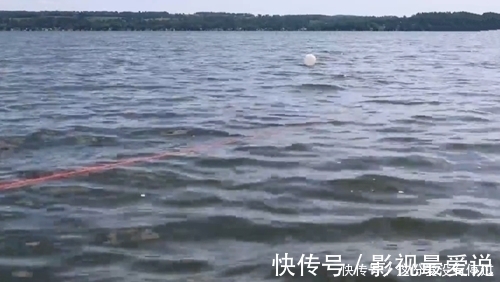 鲤鱼|煮熟的红薯做饵，气球为浮漂，放到大河中，钓获大鲤鱼，成本真低