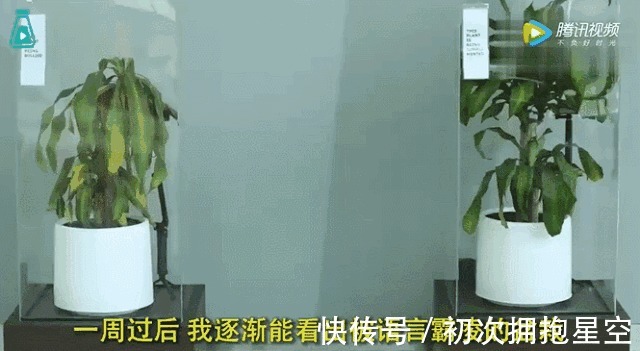 尹建莉|废掉一个孩子,就不停说他、说他、说他