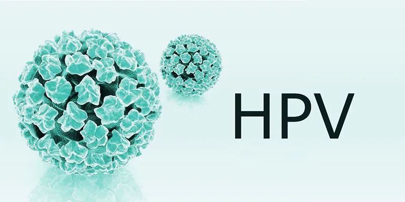 传播途径|HPV与HIV,傻傻分不清楚?