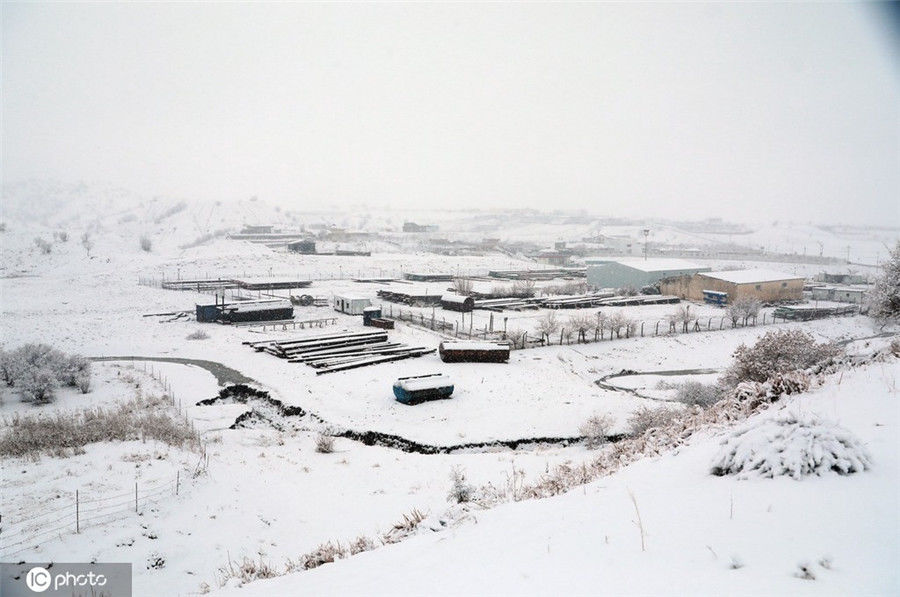 埃尔比勒#伊拉克埃尔比勒迎来降雪 银装素裹宛若仙境