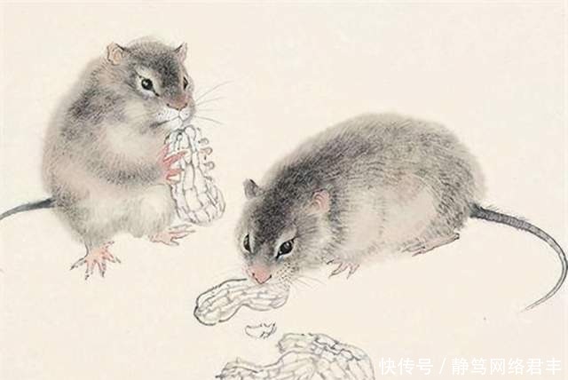 鼠王邱满囤:曾一次灭鼠80多吨,晚年被专家批评后秘方都没公开