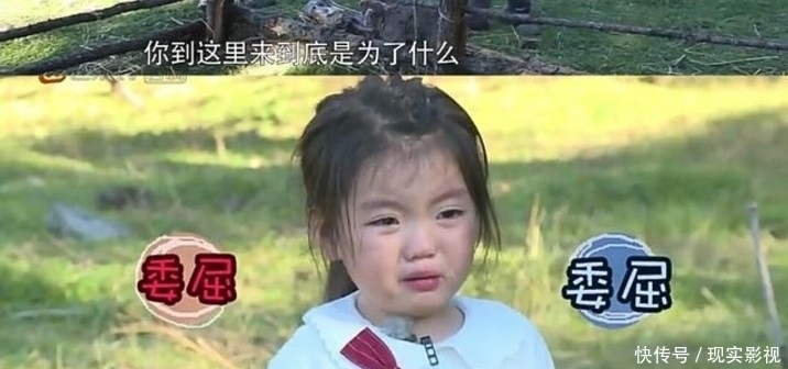 节目|“我要赚钱养弟弟”,4岁出道年入百万的阿拉蕾,现状令人唏嘘