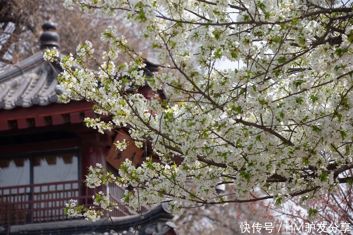 中年|春天最适合小住三五天的12个地方,错过这些美景,又要等一年