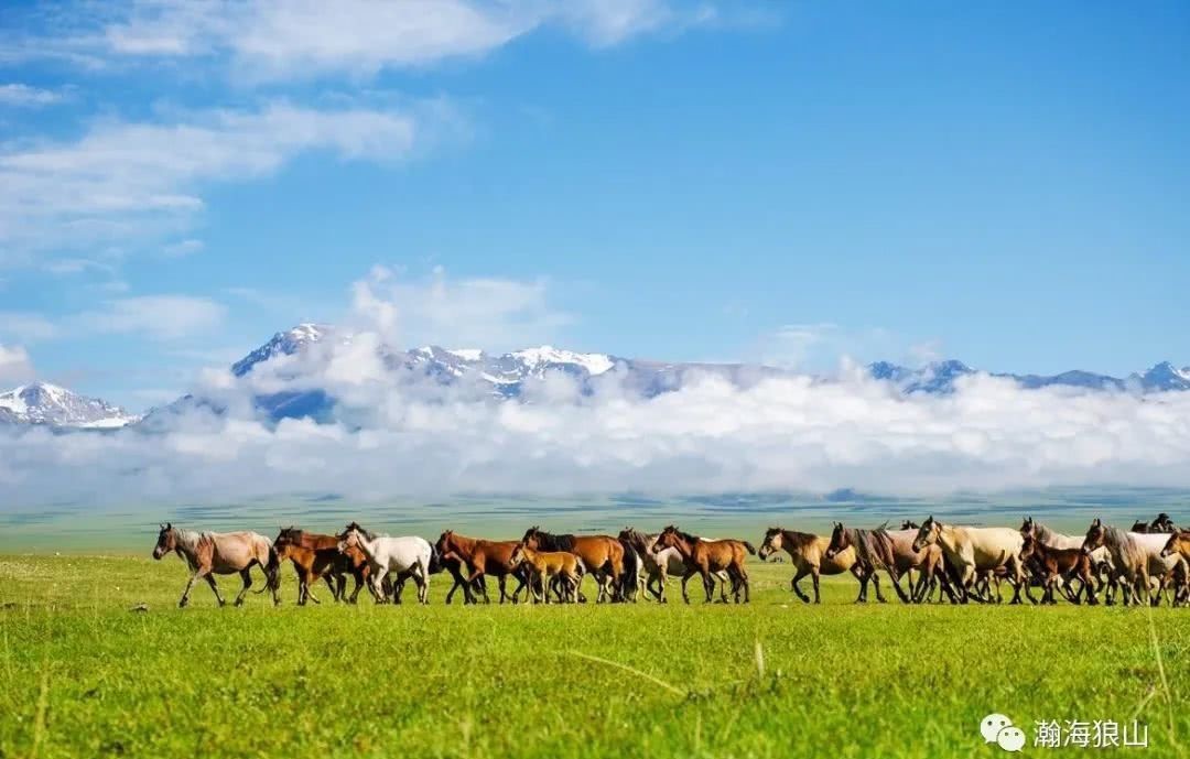 国家|古代游牧群落打仗,为何没有消耗财政资源一说?