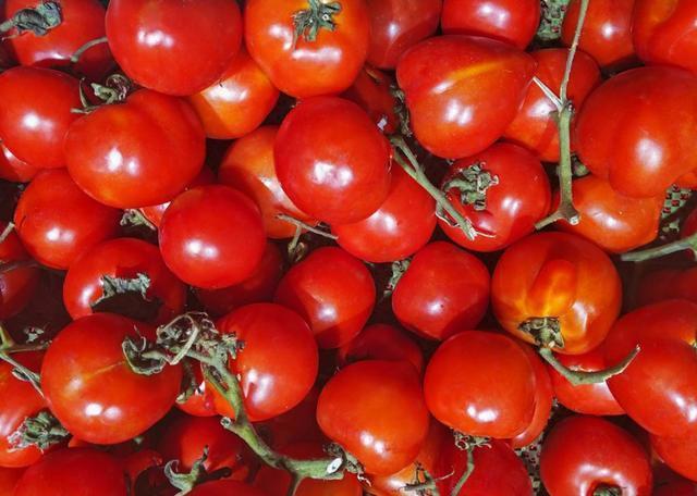 买西红柿时要小心“激素西红柿”，学会4个方法，轻松鉴别