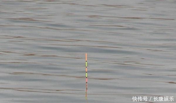 钓鱼技巧调漂方法虽然有多种,但要做到精准,都要遵循这些要点