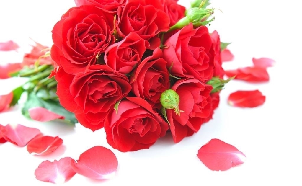 爱了最“危险”的四大星座,注定相爱相杀、虐恋情深