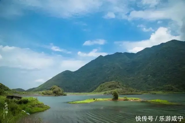 湿地|“夏”一站，咸宁请你来“吸氧”！