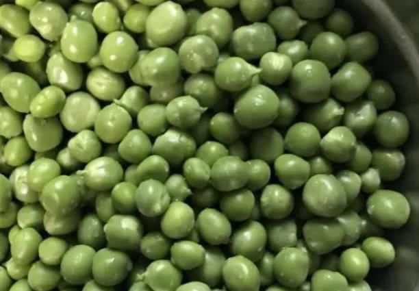 杨梅素|天然“二甲双胍”被发现了,早晚使劲儿吃它,稳定血糖,远离糖尿病