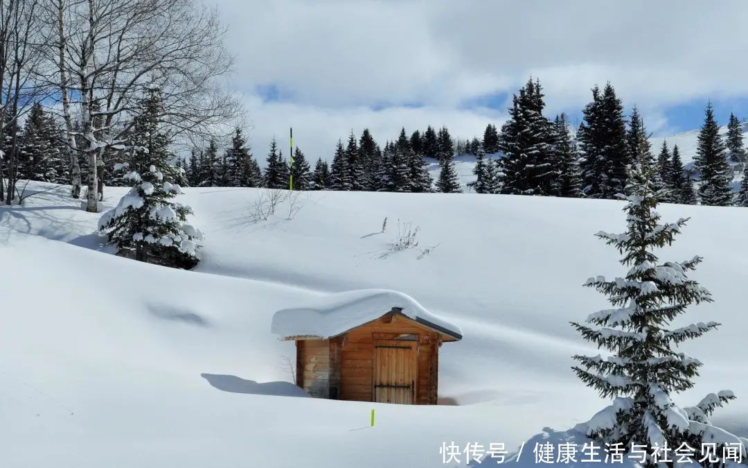  气温|气温骤降手脚冰冷？专家推荐御寒锦囊