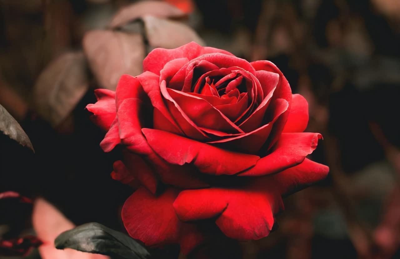 周国平&写给渐渐老去的中年人:余生最好的活法,不过只有三句话