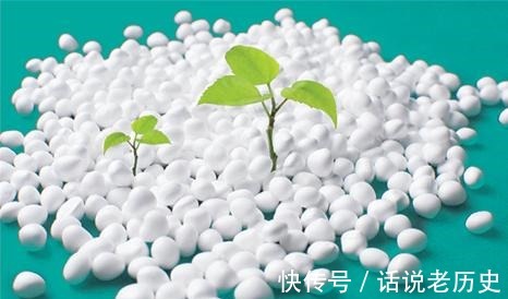 运动鞋 这是什么神仙运动鞋!显高显腿细,像穿袜子一样轻!