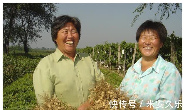 花生|六大坚果食用禁忌，花生、瓜子也在内，许多人都不清楚