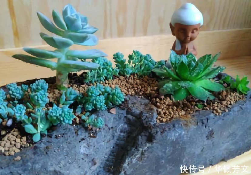 破烂|这些“花盆”真漂亮,创意十足还不花钱,“破烂”可别再扔了