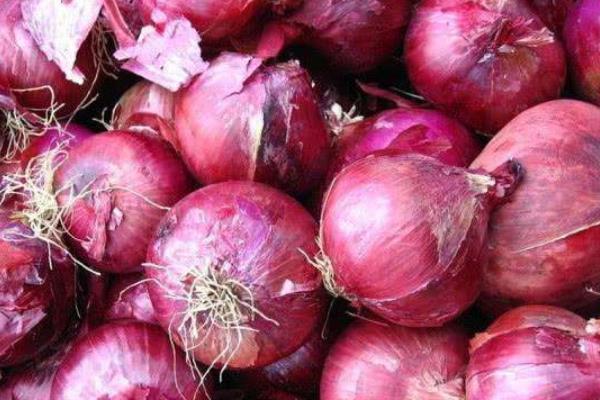 厉害|晚上睡觉前,在床头放个洋葱,真是太厉害,学会受用一生