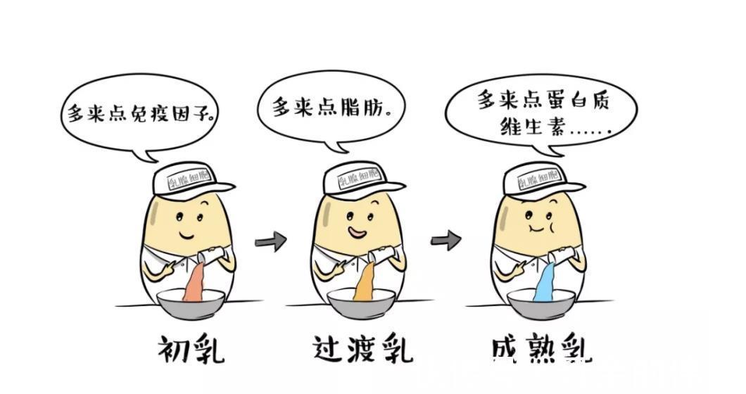 母乳|母乳到底有多神奇?看完你就知道,为什么鼓励喂到两岁以上