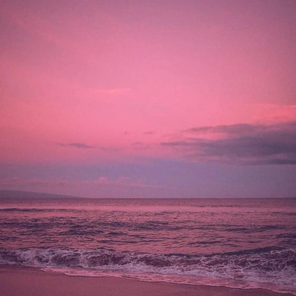 漫山遍野|你是盛开着的，漫山遍野的温柔