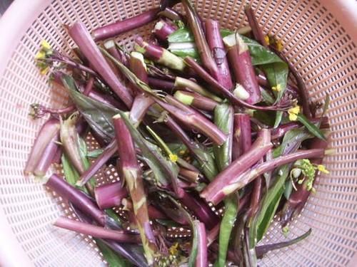 一道適合家人常吃的營養菜，老人吃不易得血管病，女人吃淡斑養顏