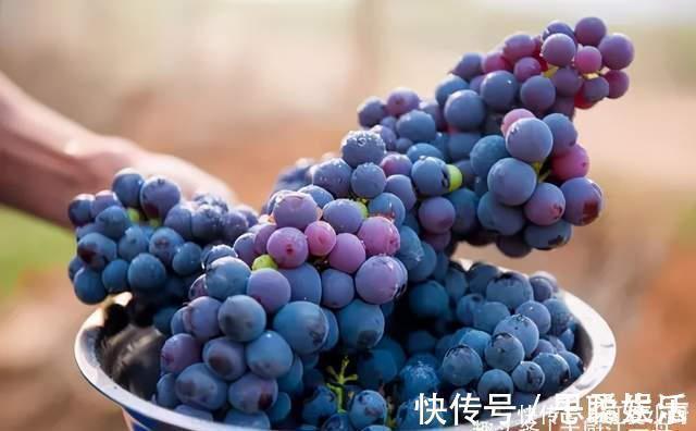 中老年|天热后,中老年人不管有钱没钱,选择这4种水果,营养健康身体好