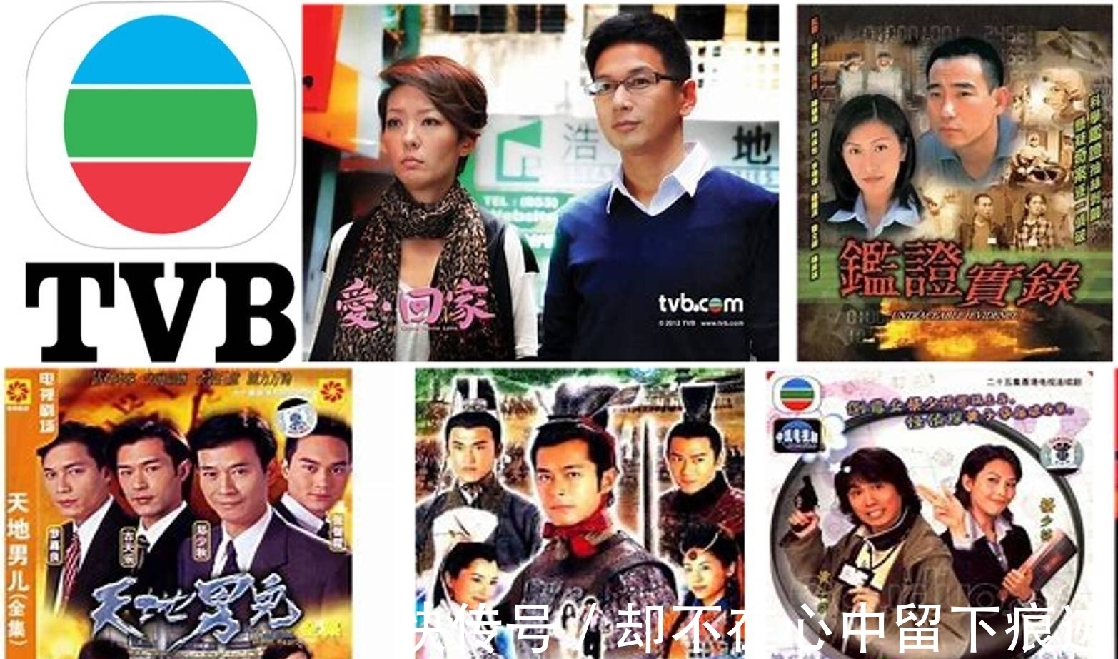 芒果台的新综艺,3个招募要求分量足,这次终于长记性了