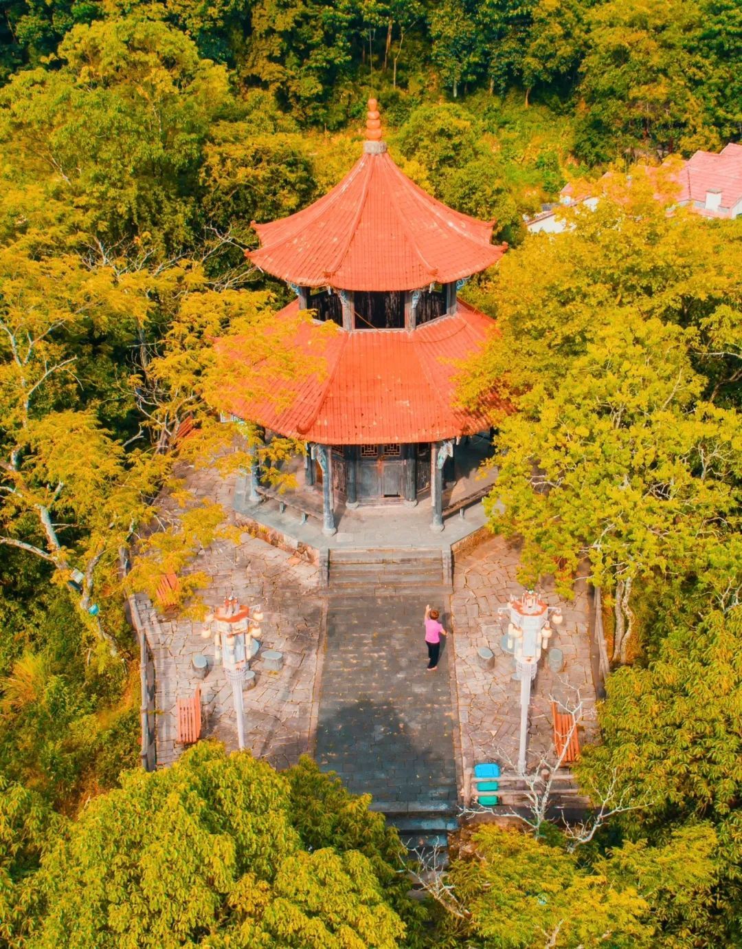 庆元|深秋初冬庆元最值得一去的旅行地，一入秋就美成了仙境