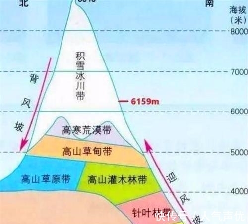 冰川|珠穆朗玛峰长草了？学者：这不是个好消息，10亿人或将无家可归