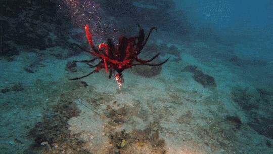 |搞笑GIF趣图：这都不分手，那就是真爱了