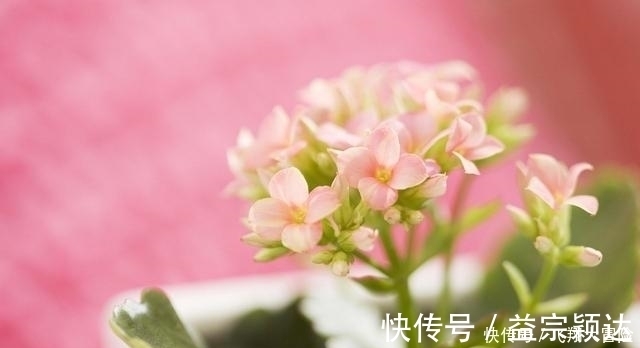 天后|9天后，夏风拂面，前任回眸，重归于好，心无旁骛，今生永不负