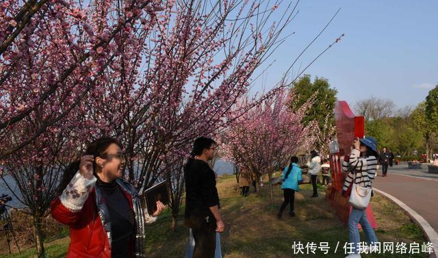 「新春走基层」兴仁红梅花开喜盈盈 家门口的公园里游客多