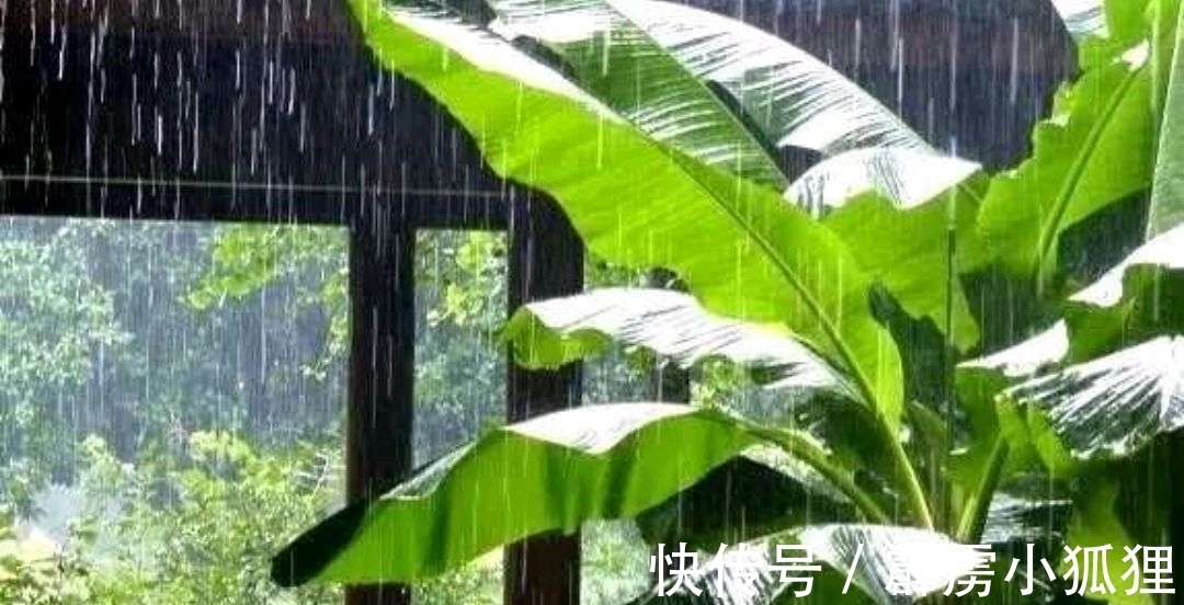 潇洒@张镃《菩萨蛮·芭蕉》,空灵含蓄,意境清幽,给人以意犹未尽之感