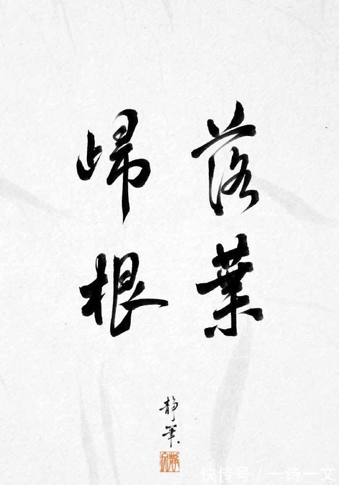 回乡偶书$拈花把酒尽余杯,生活到处都有诗,只等你去俯拾