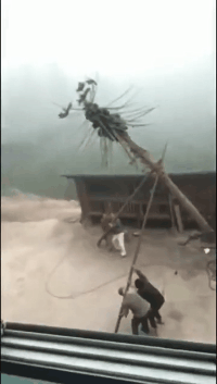 |搞笑GIF:叔叔,你还是把行李给我吧