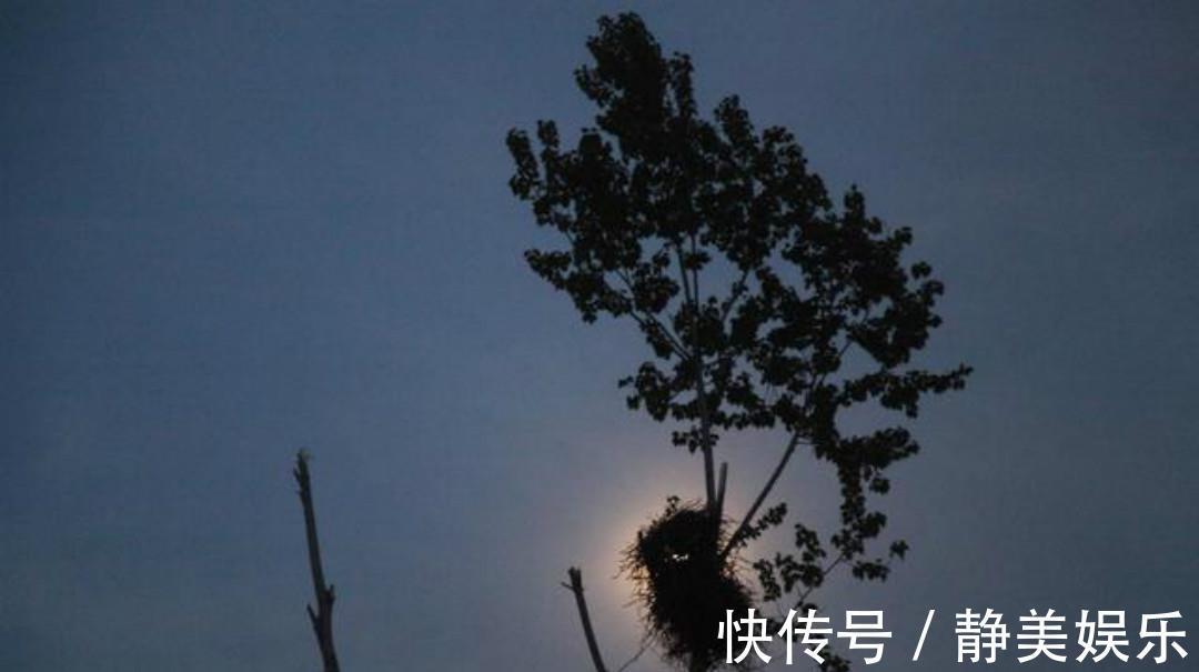 冬歌#一首很孤独的唐诗,从开篇到结尾无一字不伤感,句句充满了忧愁!