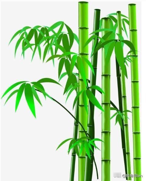 制成|原来竹子也可以制成各种文玩,这六种竹子制的文玩盘好太好看了