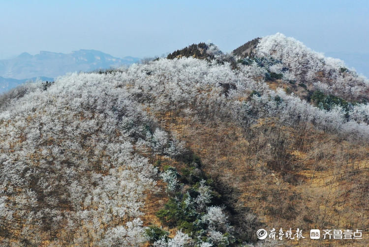 济南南山雨后奇观：九如山呈现大面积洁白雾凇