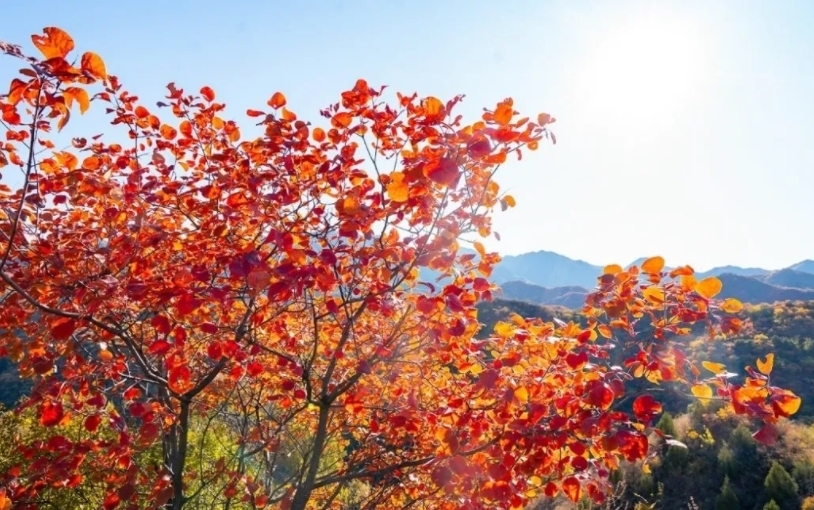 登山步道|北京昌平，人少景美的高山村落，完善的登山步道，只为赏秋而来