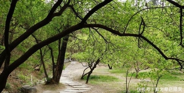 钱有三不借,礼有三不随,路有三不走,看懂这些的人都不会太差