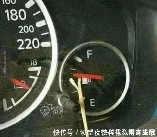 ev小长假不看点沙雕图怎么过!这世上竟有如此沙雕的手办!