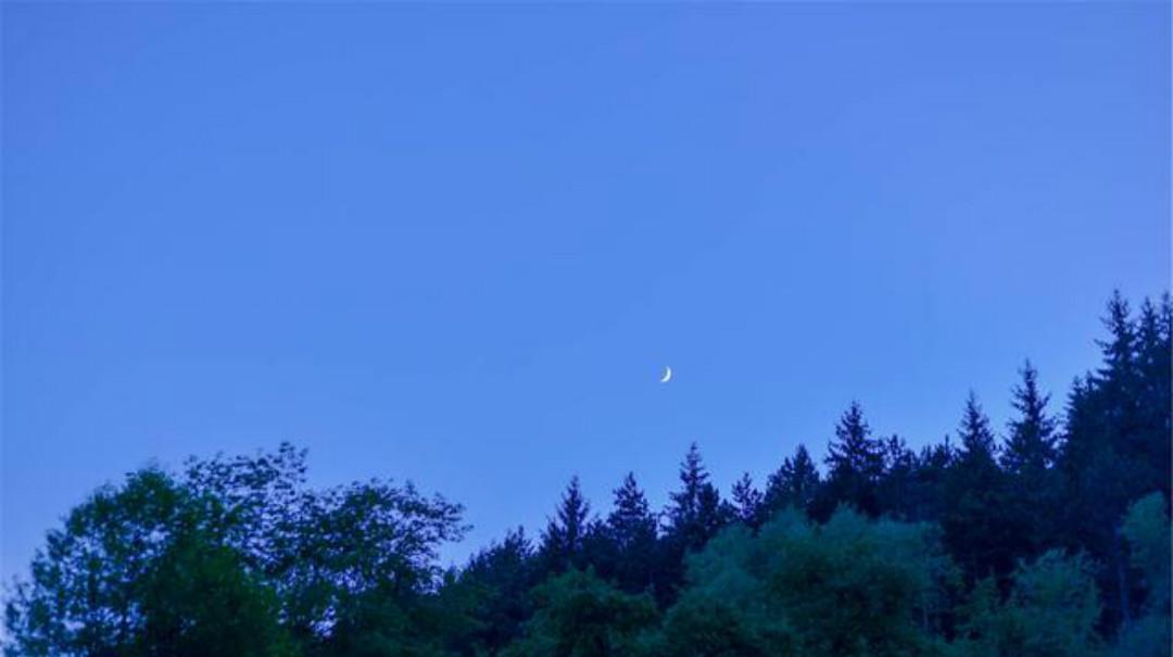 故乡|一首很孤独的唐诗,从开篇到结尾无一字不伤感,句句充满了忧愁!