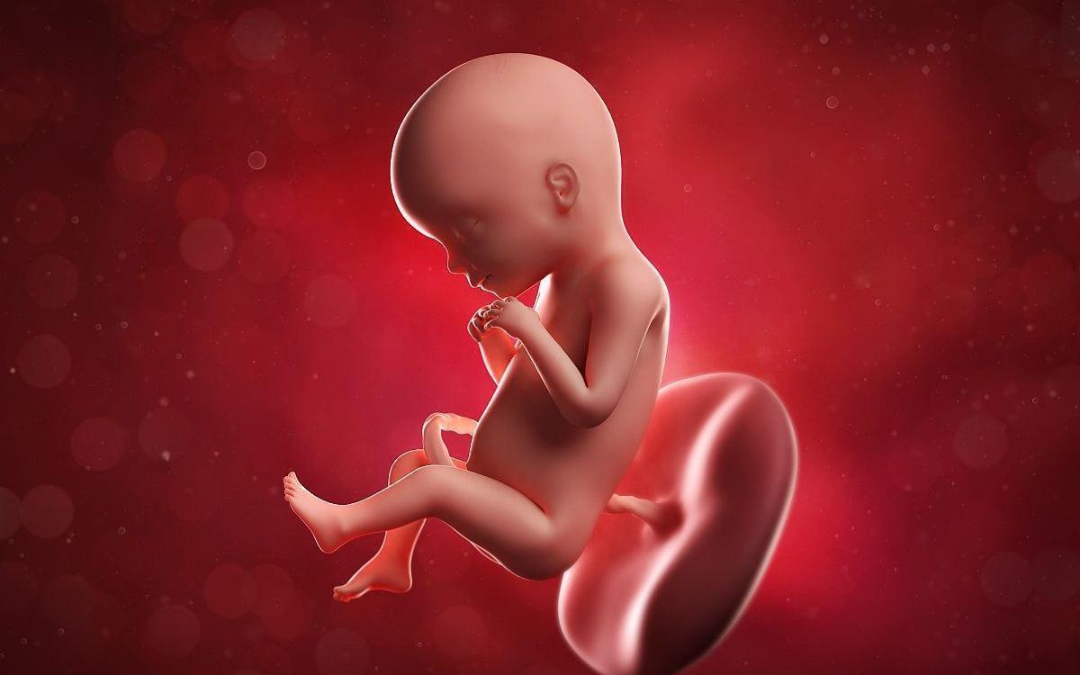 好孕|怀“小王子”的宝妈,身上有这4大特征,赶快接好孕吧