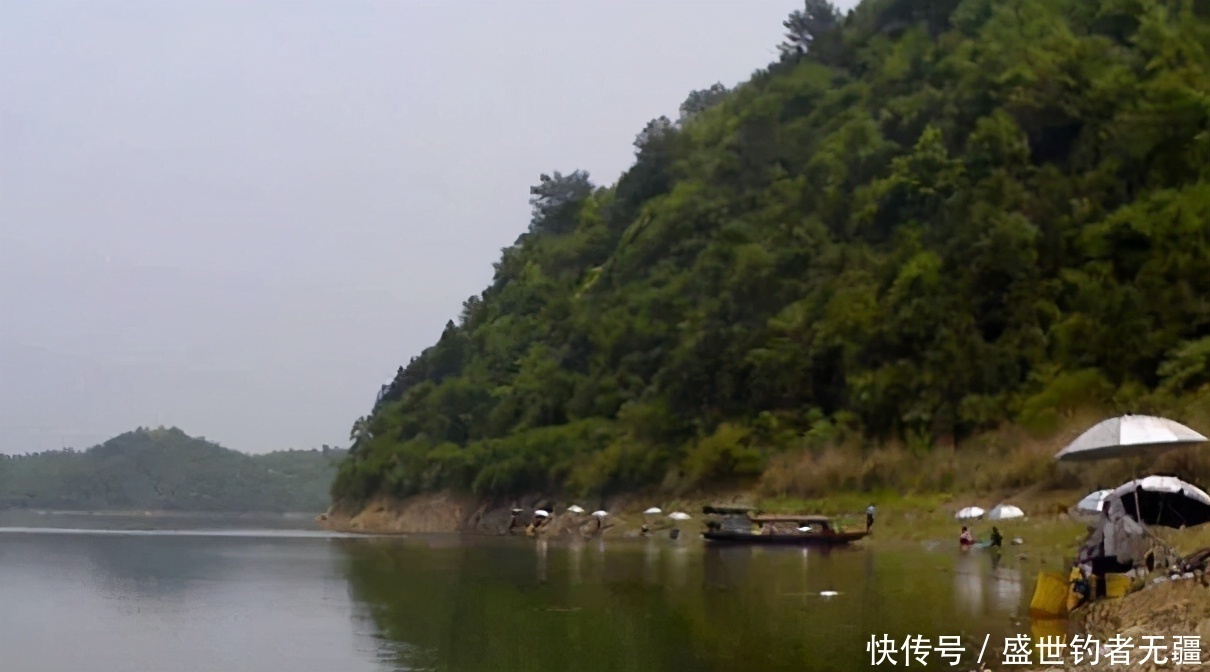 手把手教你拉饵的正确方式！难怪没鱼总不吃饵——盛世三渔
