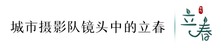 望春|今日，立春