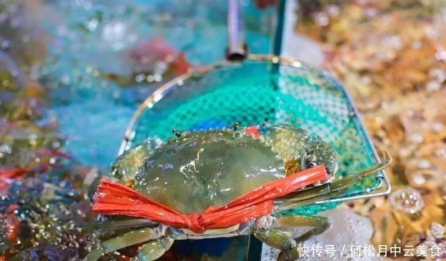  细分三亚3大特色美食，必吃海鲜、火锅、海南菜，附海鲜挑选技巧