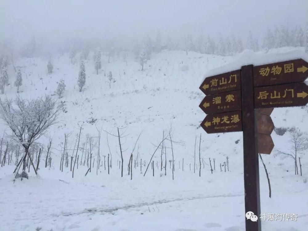 一大|德阳各地雪景美照大曝光！隔壁城市都羡慕哭了！一大波视频照片……