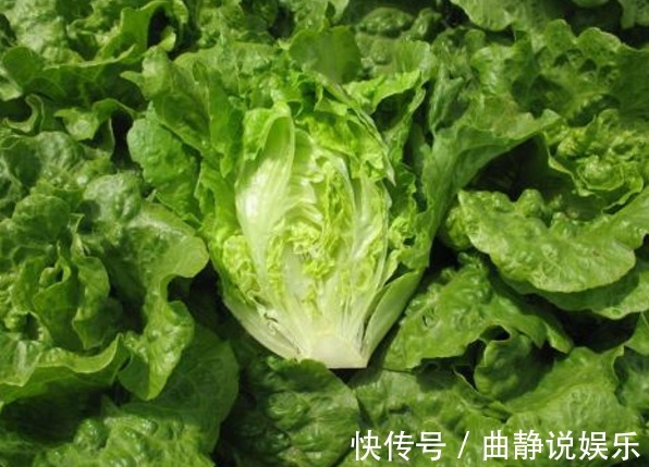 大肚子|生菜配上它，大肚子没了，失眠好了！女人不想满脸皱纹，可以试试