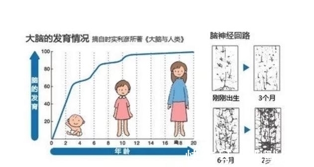 父母|6岁前孩子有这4表现,说明智商高,家长要好好培养