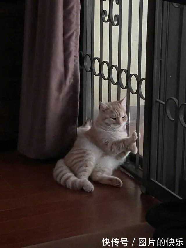 |当你卖掉了前任送的东西  冷段子1805